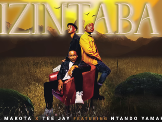 Romeo Makota & Tee Ja - Izintaba Ft. Ntando Yamahlubi