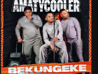 AmaTycooler - Bekungeke