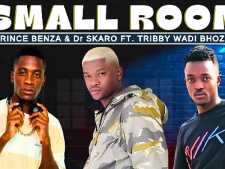 Prince Benza & Dr Skaro - Small Room Ft. Tribby Wadi Bhozza