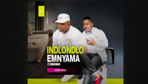 Indlondlo Emnyama - Izinkinga Ft. Umdumazi