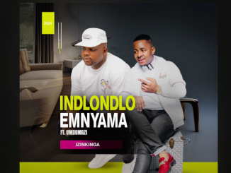 Indlondlo Emnyama - Izinkinga Ft. Umdumazi