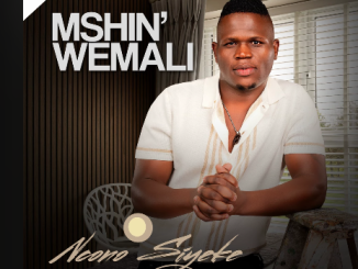 Mshinwemali - Ncono Siyeke Ft. Shenge wasehlalankosi