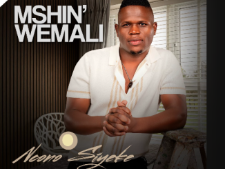 Mshinwemali - Into Yami Ft. Londeka Shangase