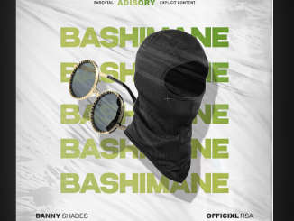 Officixl RSA - Bashimane Ft. Danny Shades