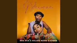 Sha Sha - Ndawana Ft. Sykes & Kelvin Momo