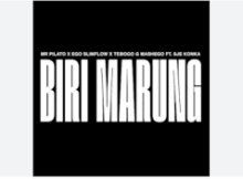 Biri Marung Remix