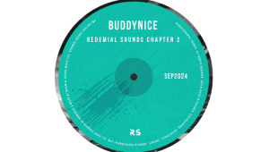 Buddynice - Endless Echoes (Redemial Sounds) 