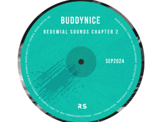 Buddynice - Endless Echoes (Redemial Sounds)