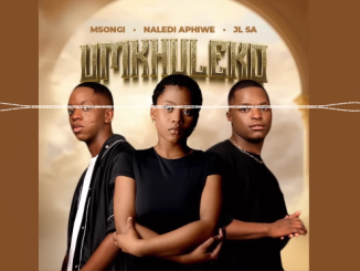 Msongi, Naledi Aphiwe & JL SA - Umkhuleko