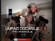 Mfazogcwele no Mavula - Inqwaba Yezidwedwe