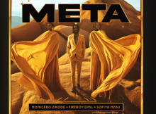 Nomcebo Zikode & Sofiya Nzau - Meta Ft. Fireboy DML