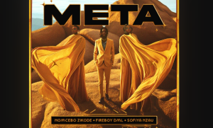 Nomcebo Zikode & Sofiya Nzau - Meta Ft. Fireboy DML