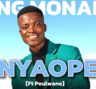 King Monada Ft. Peulwane - Nyaope