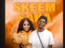 Shandesh & Naleboy Young King - Skeem Saka Ft. Hitler SA