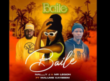 Nally j & Mr Legon - Baile Ft. Malume kayem