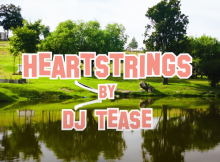 DJ Tease - Heartstrings (Amapiano)