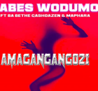 Babes Wodumo - Amagangangozi Ft. Ba Bethe Gashoazen · Maphara