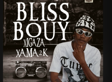 Blissbouy - Na Famba Ft. Gogo The Pro, Mhani Gree & Akanitouch