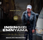 Insingizi - Ngizalwa Nezinsizwa