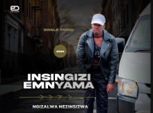 Insingizi - Ngizalwa Nezinsizwa