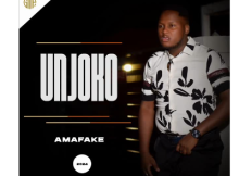 UNjoko - Amafake ALBUM