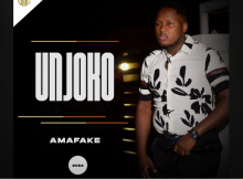 UNjoko - Ngizihambela