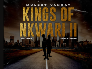 Mulest Vankay - Kings of Nkwari II (Bacardi Revolution)