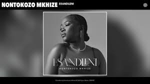 Nontokozo Mkhize - Esandleni